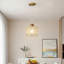 1 - Light Natural Dome Pendant