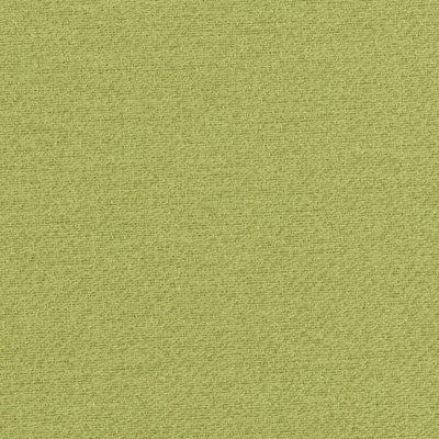 Tissu Crypton Home Wovens I