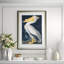 American White Pelican Print by Audubon