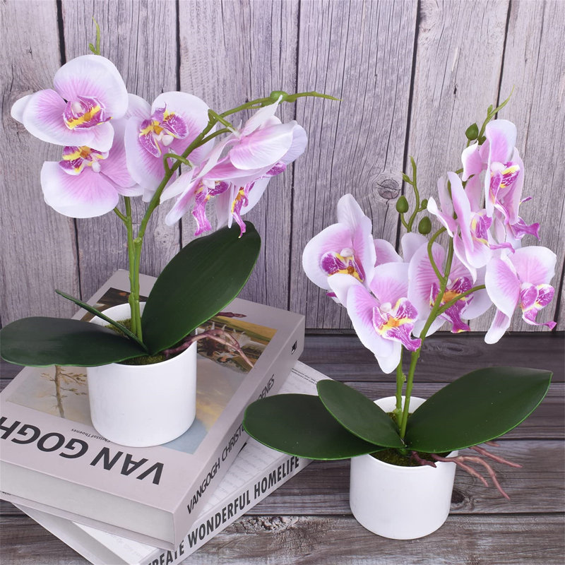 Arrangement in Vase