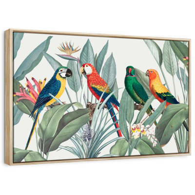 Brampt Tropical Safari Parrots