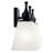 Cosabella Black 3-Light Vanity Light with Satin Etched Glass Shades-585684335