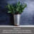 Elements Artificial Olive Branches In Vase