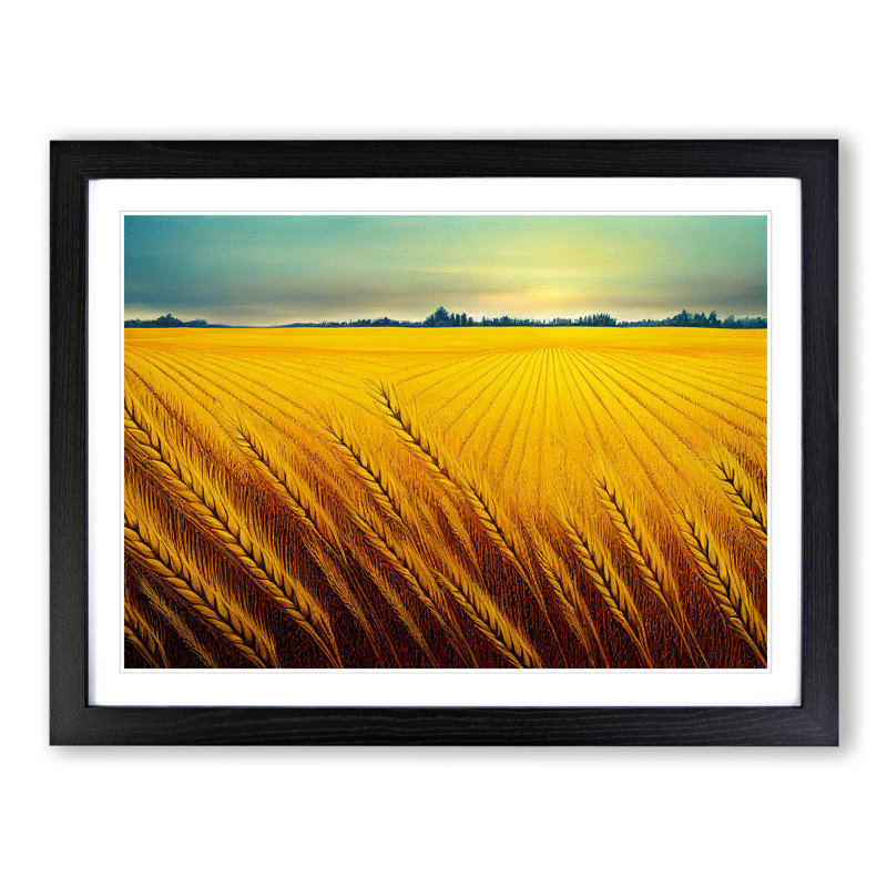 Beauty Of A Wheat Field Vol.3 - Single Picture Frame Print, Black Framed, 46cm H x 64cm W x 2cm D