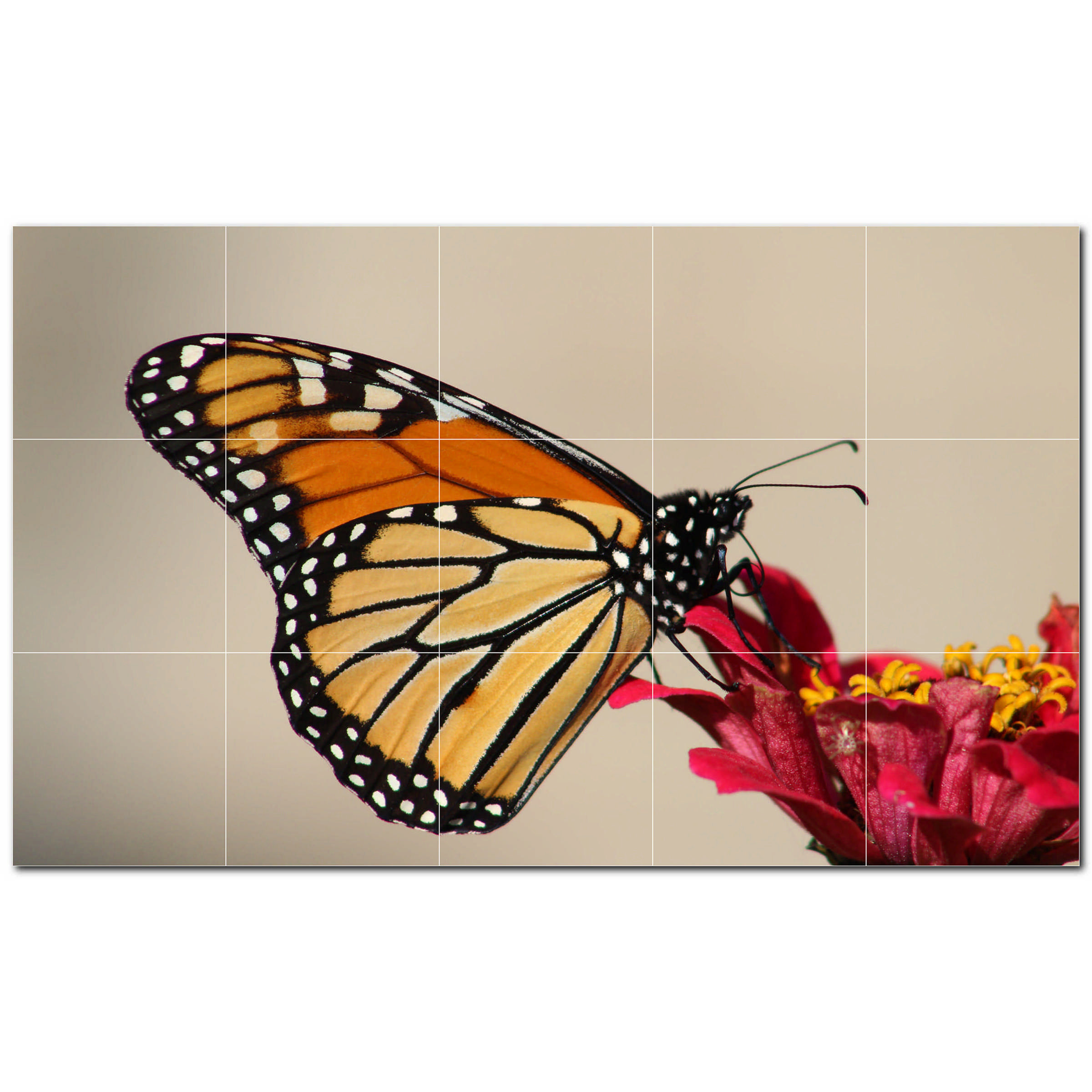 Decorative Glazed Tile Red Monarch Butterfly 6 x 6 Art Decor