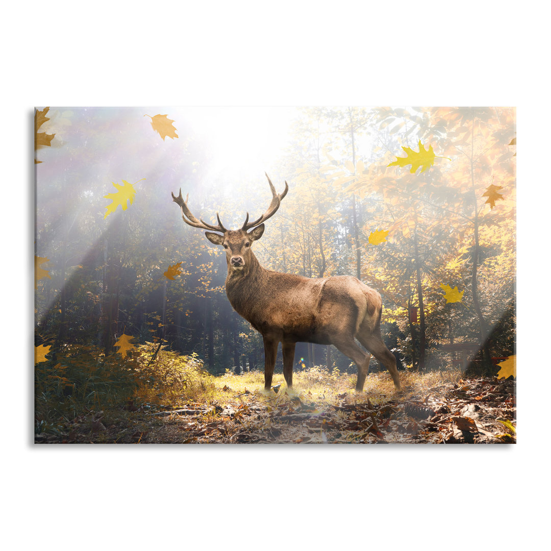 Glasbild Hirsch im Wald mit fallenden Blättern