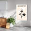 Scorpio Geranium Birth Flower Contemporary Elegant Minimalist Geranium Flower Wall Art Print 1 Piece Wrapped Canvas Wall Art-1863841082