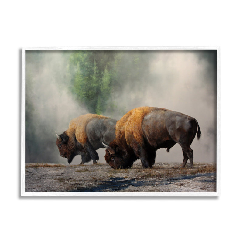 «Bison Duo Grazing Foggy Nature» encadré sur bois par Mark Kelso, peinture, H 24 po x l 30 po x P 1,5 po