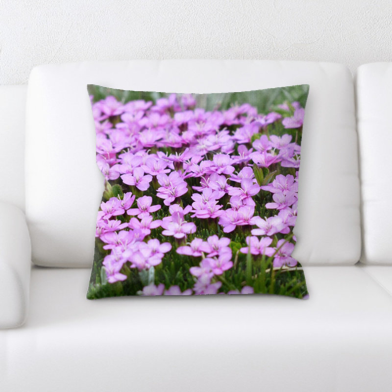 Coussin primula catchfly