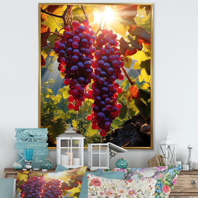 " Sunset On Vineyard In Rhones "