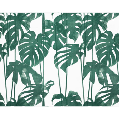 Feuille verte Monstera