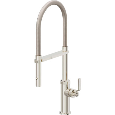 Culinary Pull-Out Kitchen Faucet With Button Sprayer