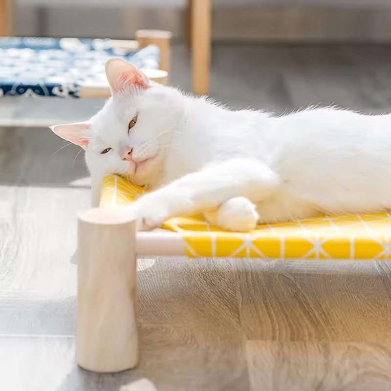 Fournitures pour maison pour animal de compagnie