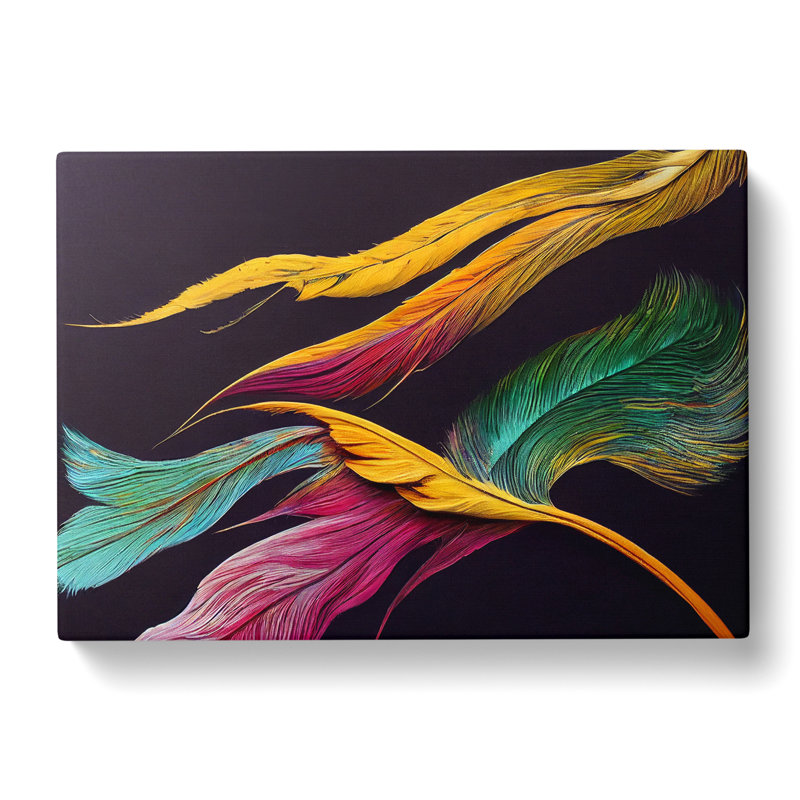 A Pleasant Bird Feathers - Wrapped Canvas, 35cm H x 50cm W x 3cm D