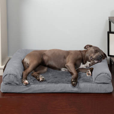 Waterproof Orthopedic Bolster Dog Bed BingoPaw Size: Large (35.4 W x 27.5 D x 7.4 H)