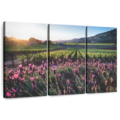 Alvord Napa Valley Grapevines And Flowers