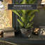 Cache-pot Shewmaker-1825344160-1825344167