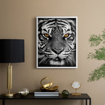 Golden Eyes Framed Print - Solid Wood