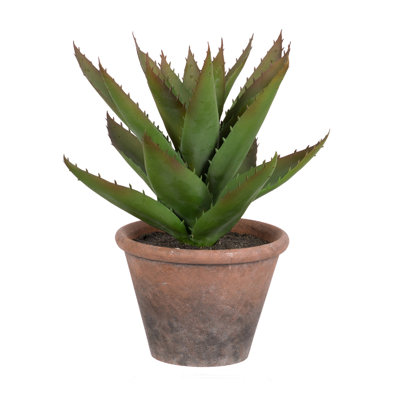 Otega 12.6'' Faux Succulent Plant in Pot