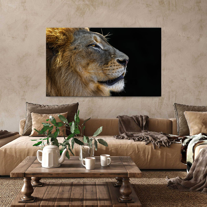 "Le roi" par Danita Delimont, reproduction sur toile, H 18 po x l 30 po x P 1 po