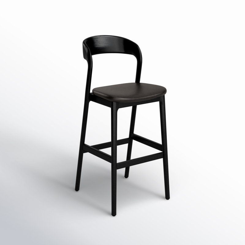 Kayla Leather Bar & Counter Stool, Bar Stool (30.5" Seat Height), Sonoma Black Genuine Leather/Black