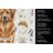 Red Leonberger Coffee Bar Kitchen Towel-1168063403