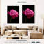 Magenta pivoine-1074363267