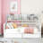 Lynnox 2 Drawers Daybed with Storage Shelves-907735079-907735077