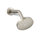 Elate Single-Function Showerhead, 2.5 Gpm