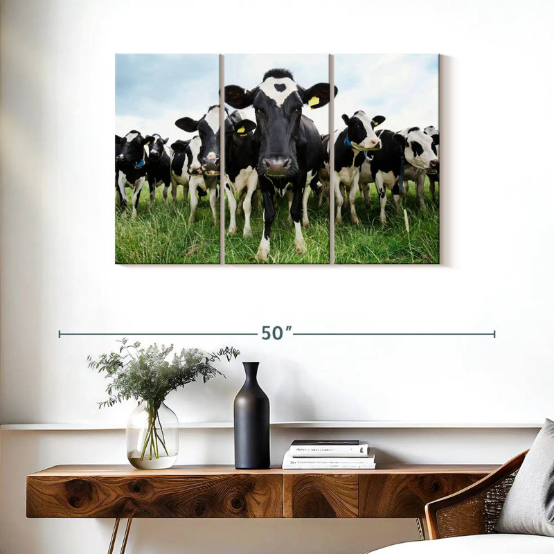 Brampt Holstein, H 24 po x l 38 po
