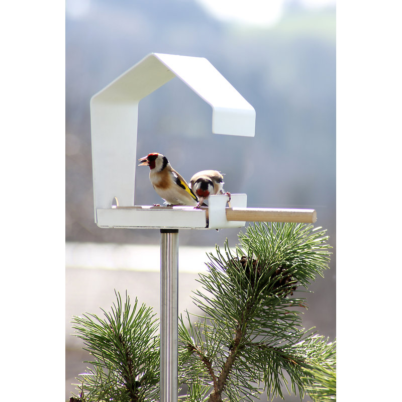 Metal Pole Decorative Bird Feeder