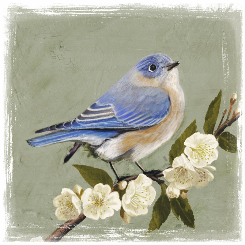 " Bluebird Branch I " by Victoria Borges Painting Print, 12" H x 12" W x 1.25" D