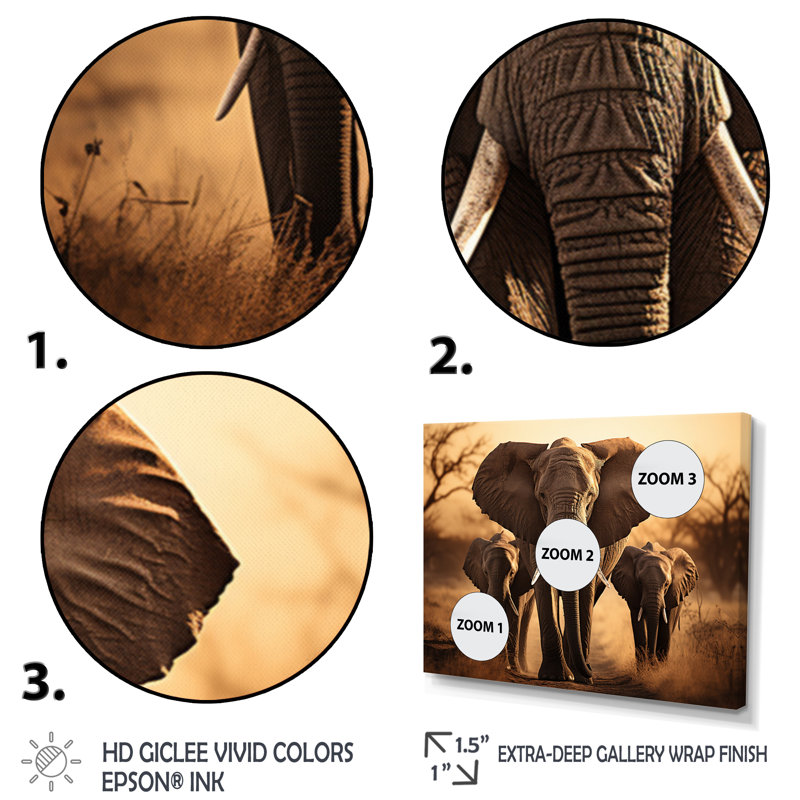 «Elephant Shadows Of Serenity I», art sur toile éléphant, Cadre flottant blanc, H 30 po x l 40 po x P 1,5 po