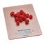 Taylor Pro Digital Scale-49491895
