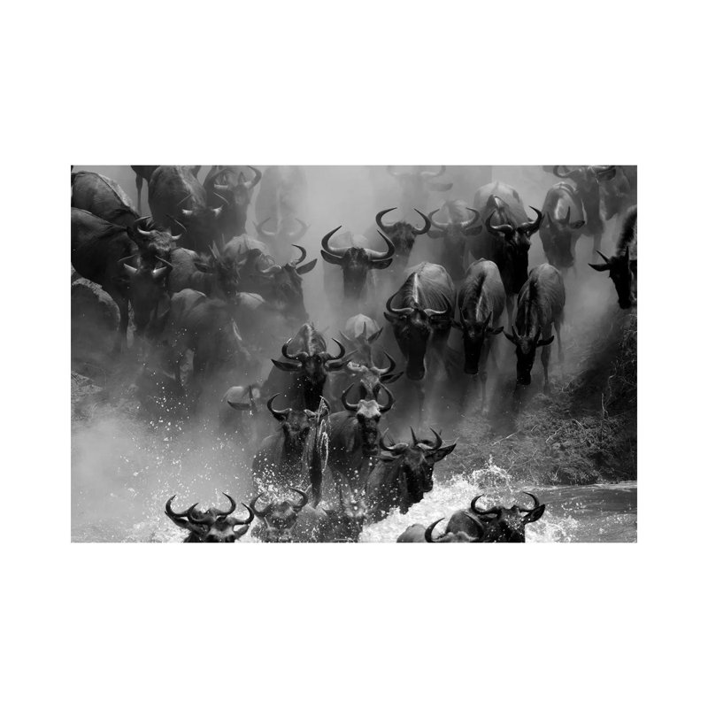 Wildebeest Crossing by Mogens Trolle - Wrapped Canvas Gallery-Wrapped Canvas Giclée, 20.32 cm H x 30.48 cm W