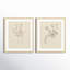 «Fiama Floral Study» par Kate Aurelia Holloway, impressions murales encadrées-96000917-96000918