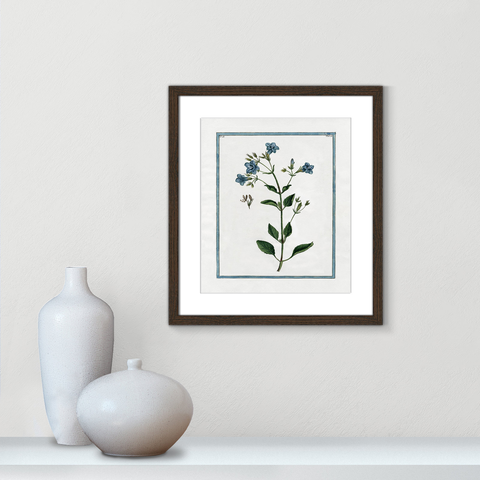 Colombe "Shabby Elegance Botanical II" Print, 13" W x 15" H, Walnut Framed