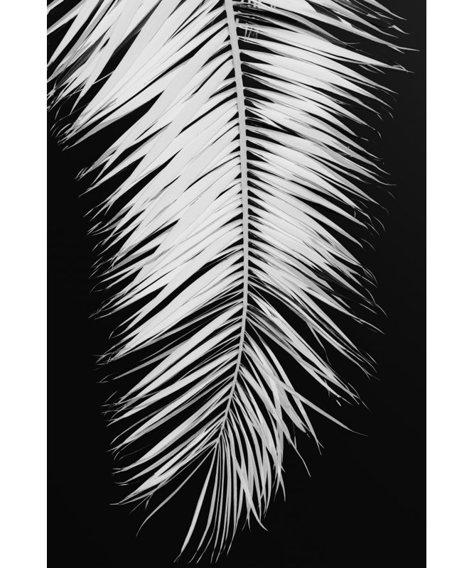 Wrapped Canvas Print, 60.96cm H x 91.44cm W