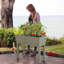 Lit de jardin surélevé City Pickers-332886658