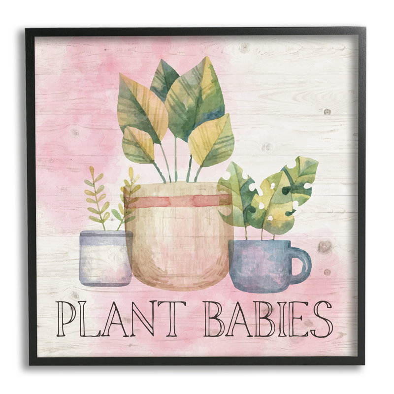 " Plant Babies Potted Sprigs Garden " by ND Art, Midnight Black Framed Giclee, 12" W x 12" H x 1.5" D