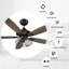 Ventilateur de plafond 52 po avec ensemble d'éclairage