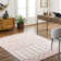 Silburn Southwestern Indoor Rug