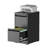 2 Drawers Metal Vertical File Cabinets with Lock-Durable for Home & Office.-1019328466