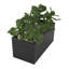 Bedfo 6,95 po plante succulente en pot en céramique