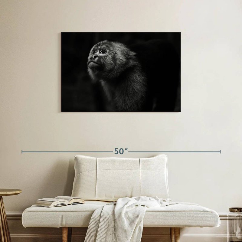 Brampt Capuchin Monkey, 24'' H x 36'' W
