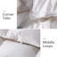 Édredon standard en coton-655336461-655336458