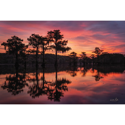 Marais en feu