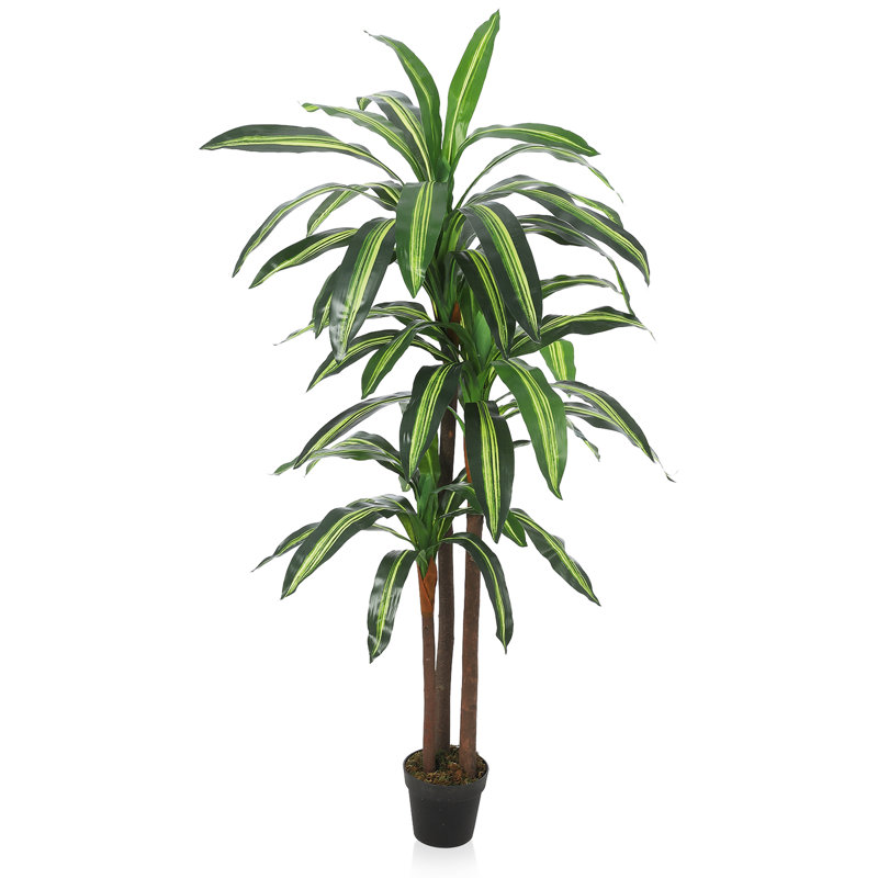 Faux Banana Leaf Tree, 6ft