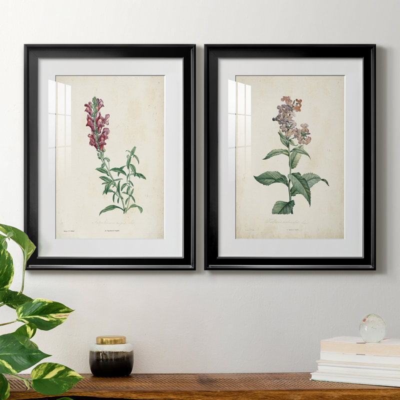 «Traditional Botanical I», reproduction encadrée de qualité supérieure, prête à être accrochée, H 42,5 po x l 61 po x P 1 po