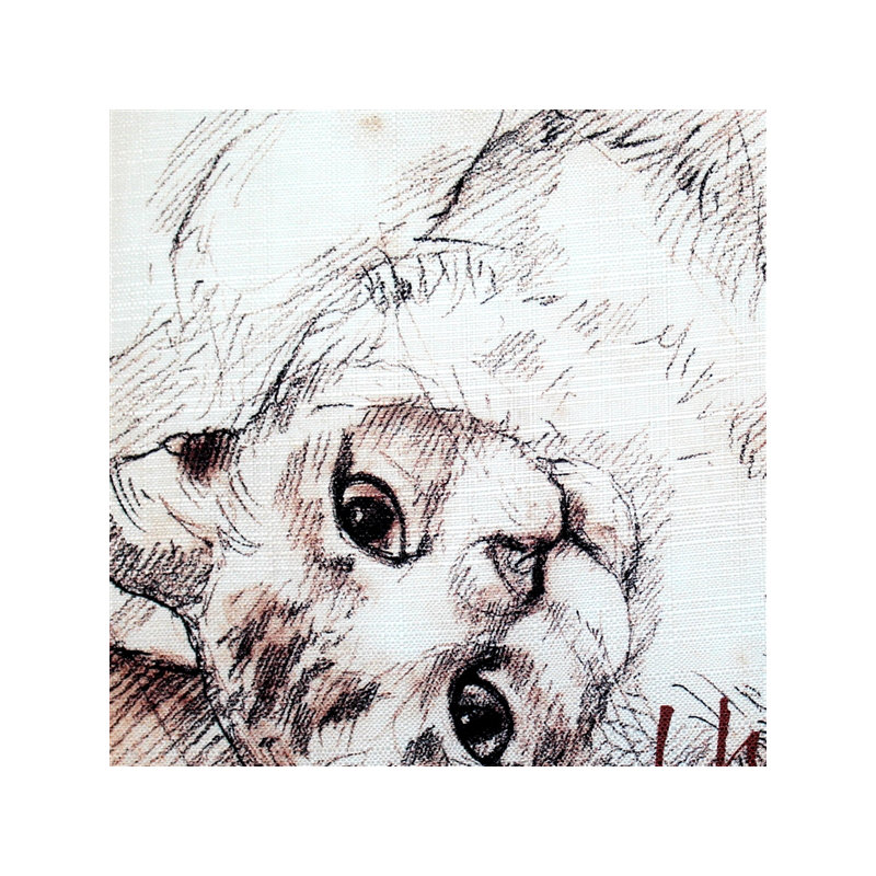 Coussin intérieur / extérieur I Have Known Love Cat